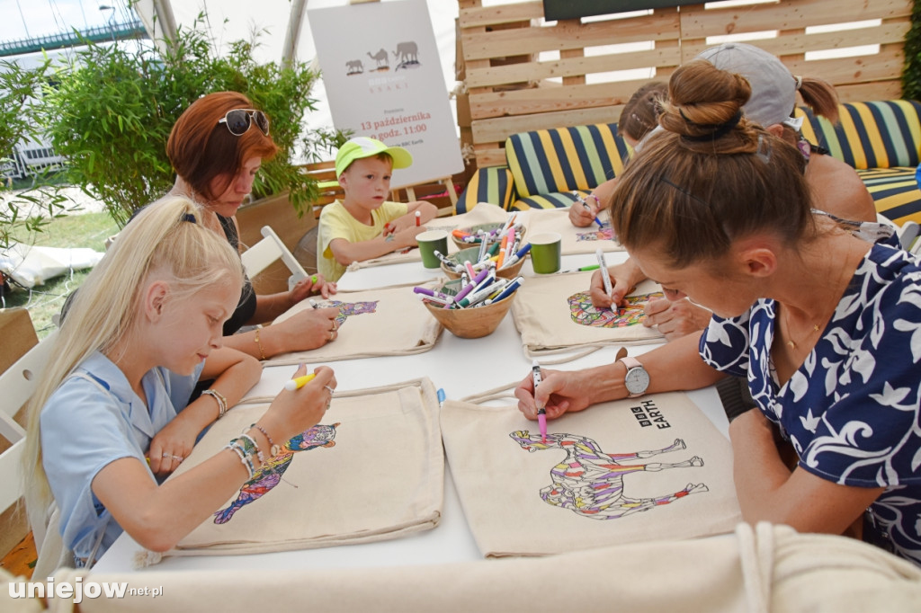 Jakie atrakcje czekają w Ekomiasteczku Earth Festivalu