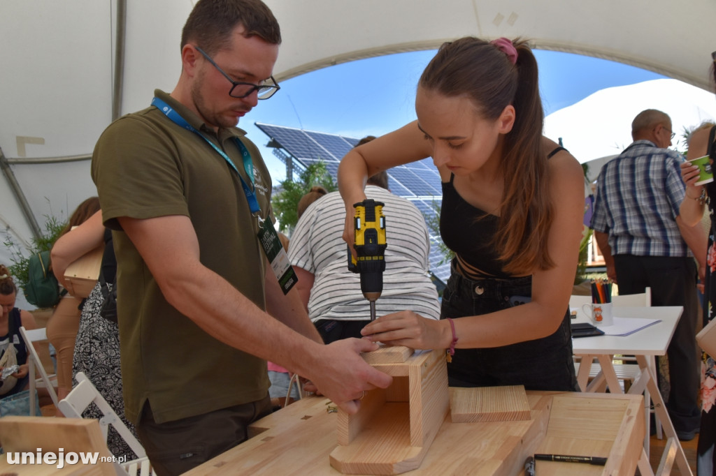 Jakie atrakcje czekają w Ekomiasteczku Earth Festivalu