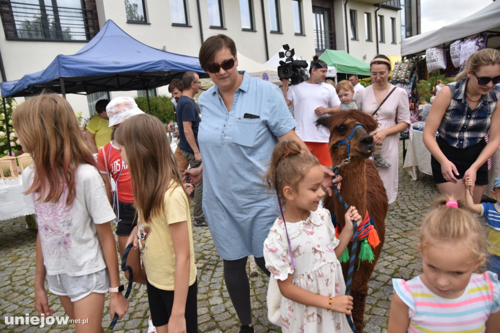 Tak wyglądał XI Festiwal Lawendy