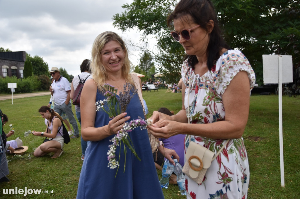 Tak wyglądał XI Festiwal Lawendy