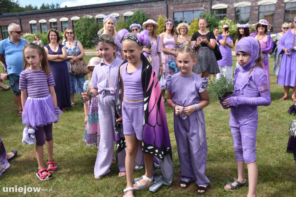 Tak wyglądał XI Festiwal Lawendy