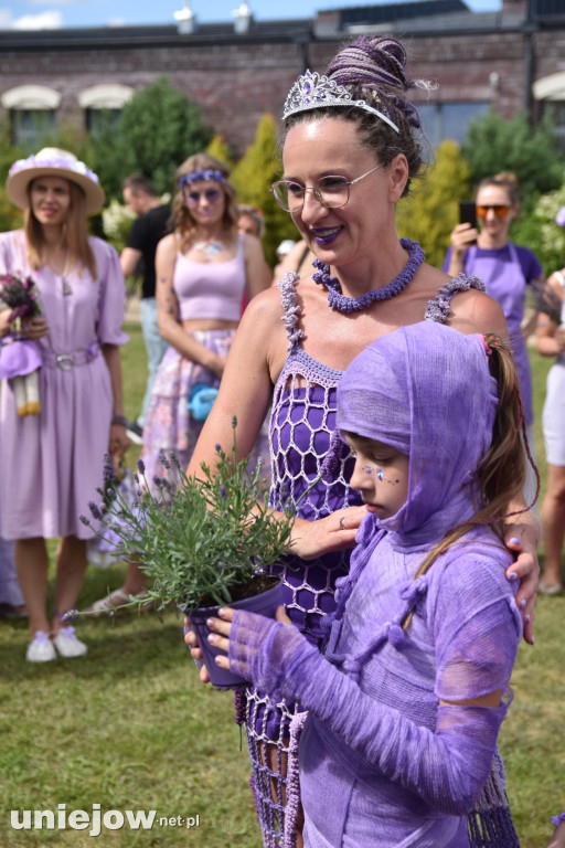Tak wyglądał XI Festiwal Lawendy