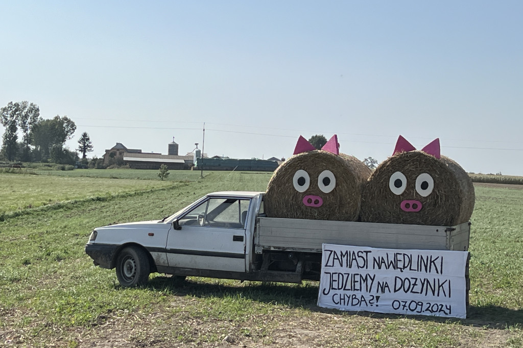 Dożynkowe witacze w Woli Przedmiejskiej