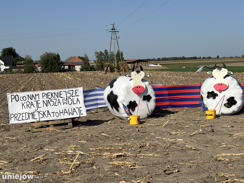 Dożynkowe witacze w Woli Przedmiejskiej