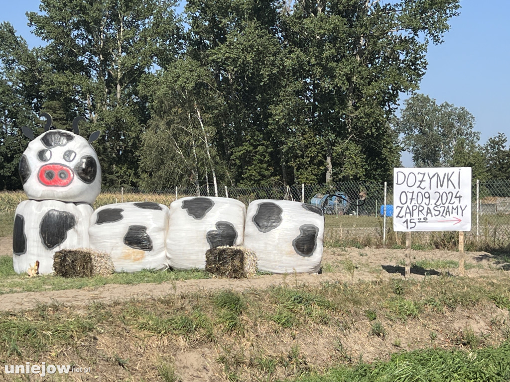 Dożynkowe witacze w Woli Przedmiejskiej