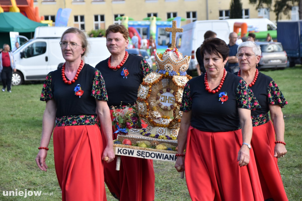 XII Dożynki Powiatu Poddębickiego