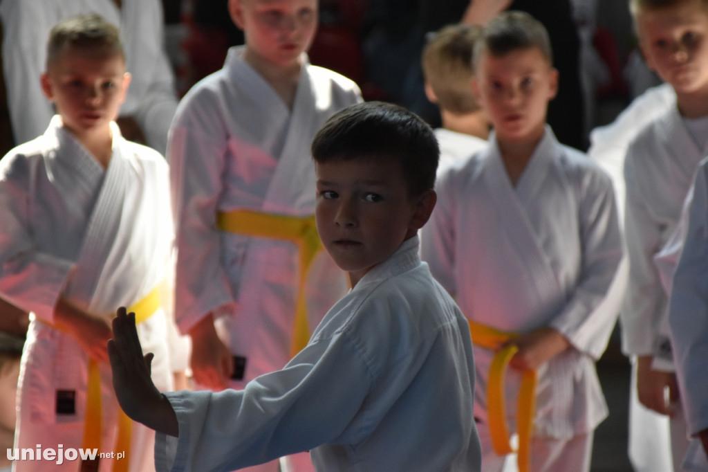 Turniej Małego Karateki zorganizowano po raz 11 w Uniejowie