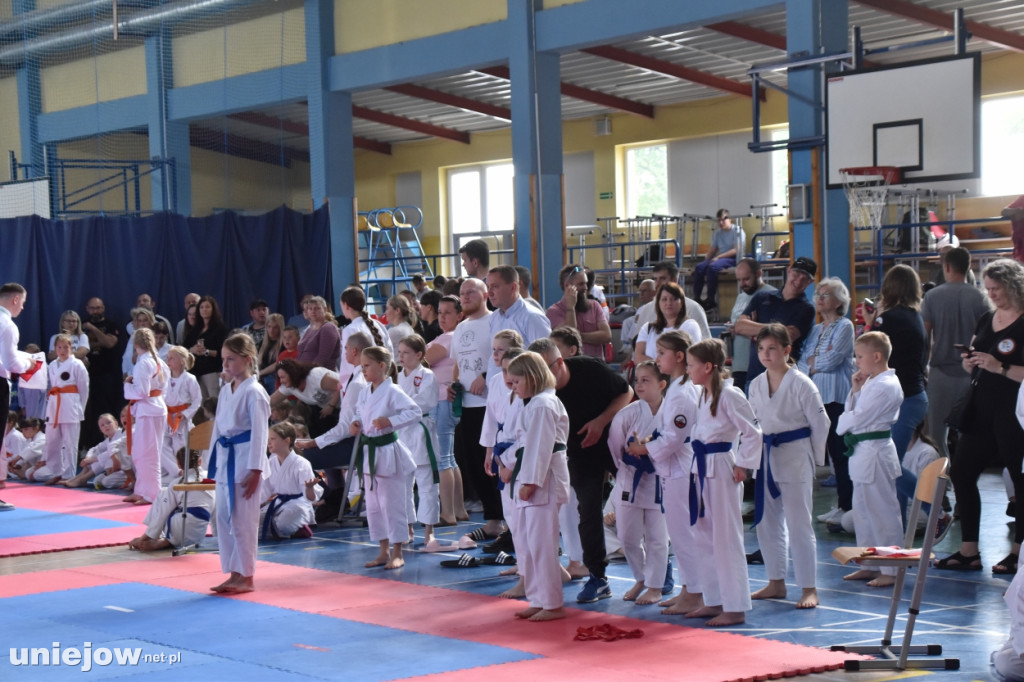 Turniej Małego Karateki zorganizowano po raz 11 w Uniejowie
