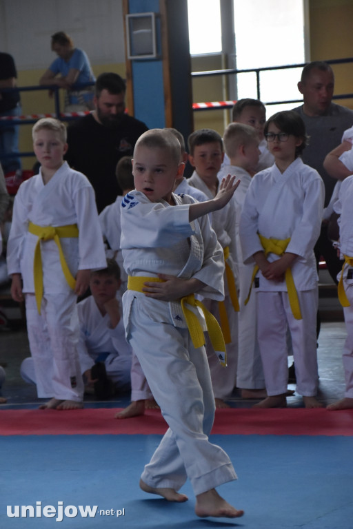 Turniej Małego Karateki zorganizowano po raz 11 w Uniejowie