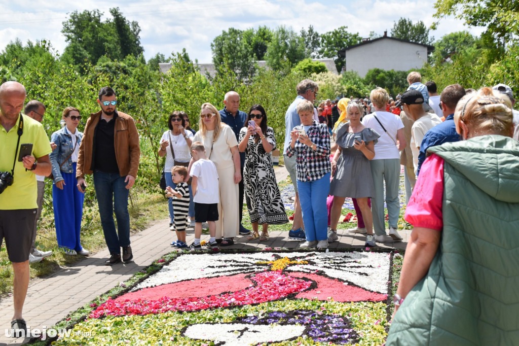 Tak powstają kwietne dywany w Spycimierzu
