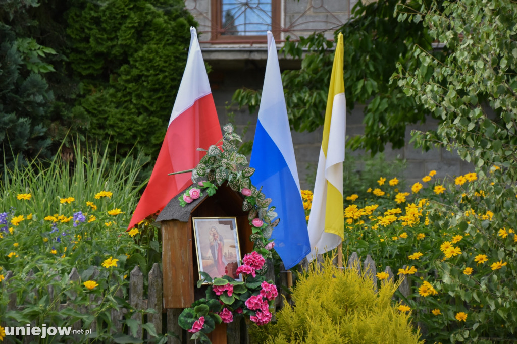 Tak powstają kwietne dywany w Spycimierzu