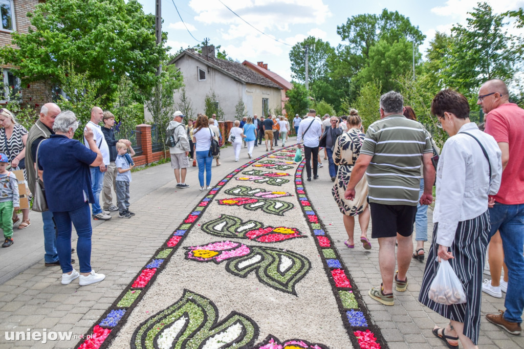 Tak powstają kwietne dywany w Spycimierzu