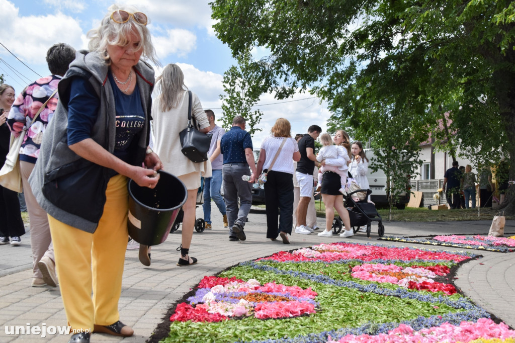 Tak powstają kwietne dywany w Spycimierzu
