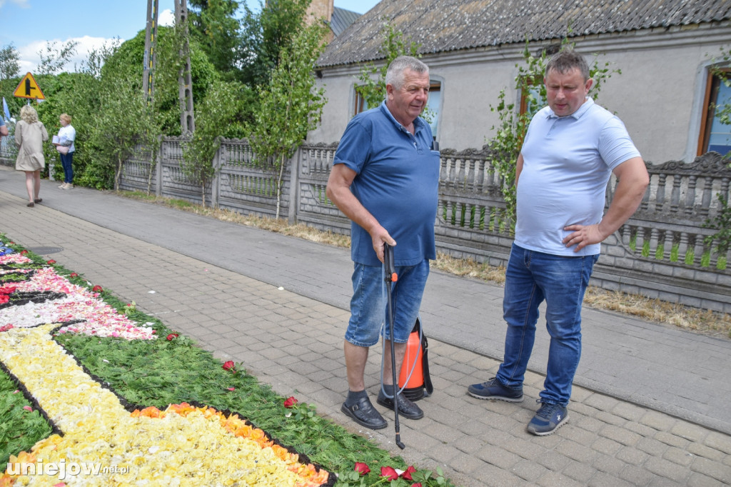 Tak powstają kwietne dywany w Spycimierzu