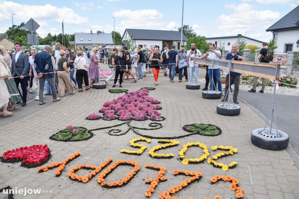 Tak powstają kwietne dywany w Spycimierzu