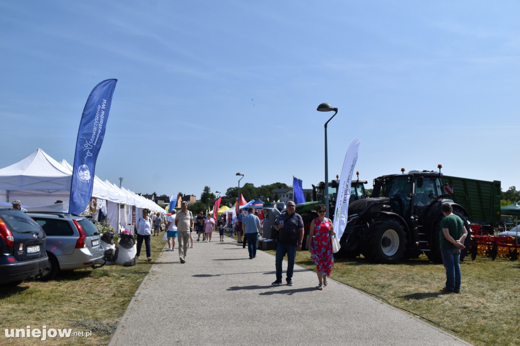 Co się dzieje na Łódzkim Festiwalu Mleka w Uniejowie?