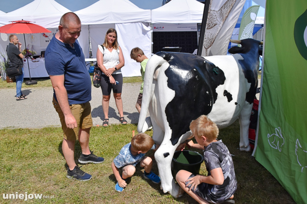 Co się dzieje na Łódzkim Festiwalu Mleka w Uniejowie?