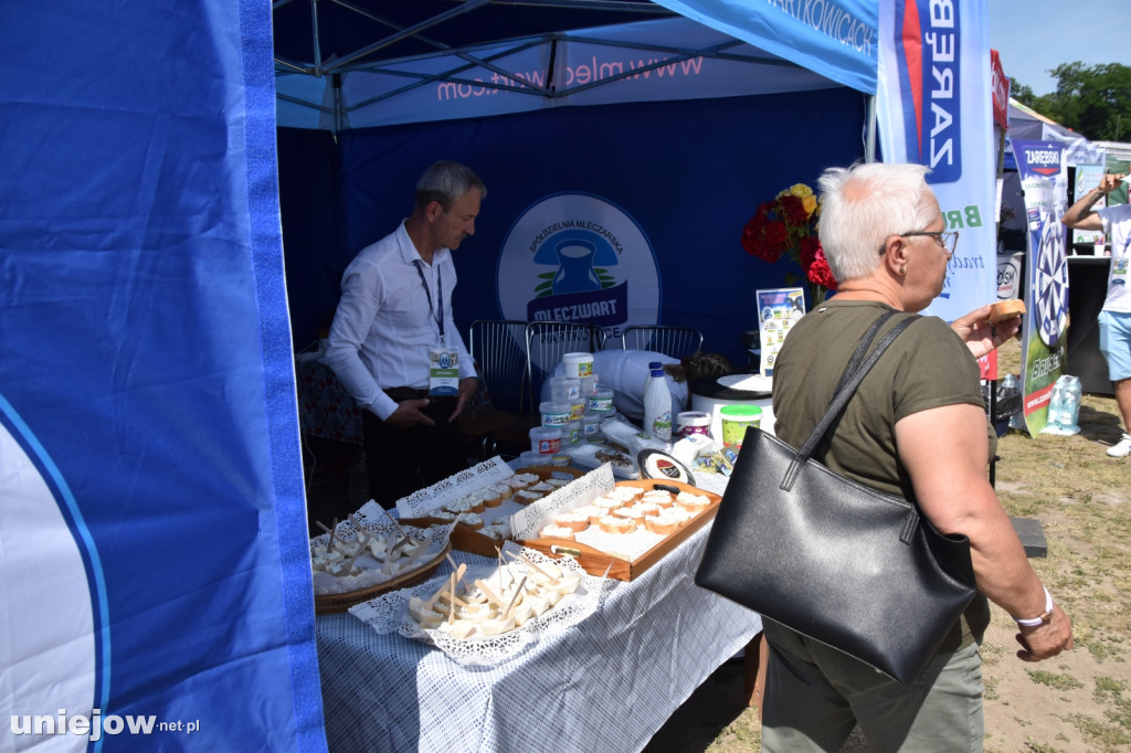 Co się dzieje na Łódzkim Festiwalu Mleka w Uniejowie?