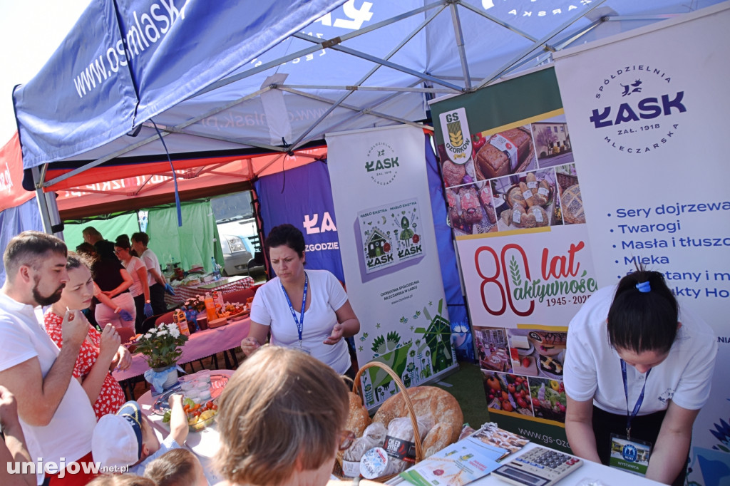 Co się dzieje na Łódzkim Festiwalu Mleka w Uniejowie?