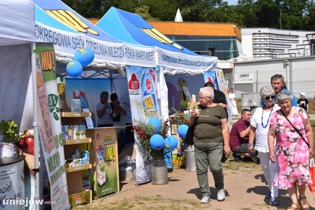 Co się dzieje na Łódzkim Festiwalu Mleka w Uniejowie?