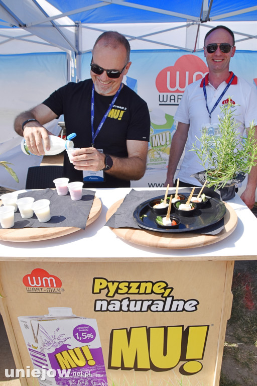 Co się dzieje na Łódzkim Festiwalu Mleka w Uniejowie?