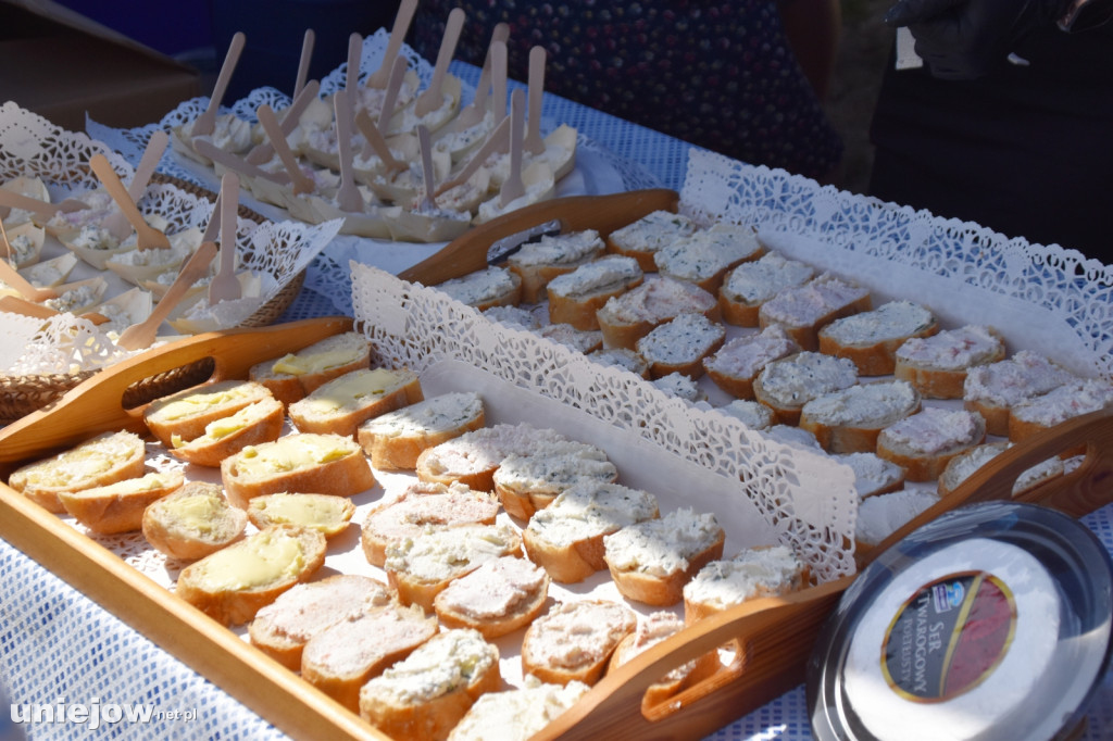 Co się dzieje na Łódzkim Festiwalu Mleka w Uniejowie?
