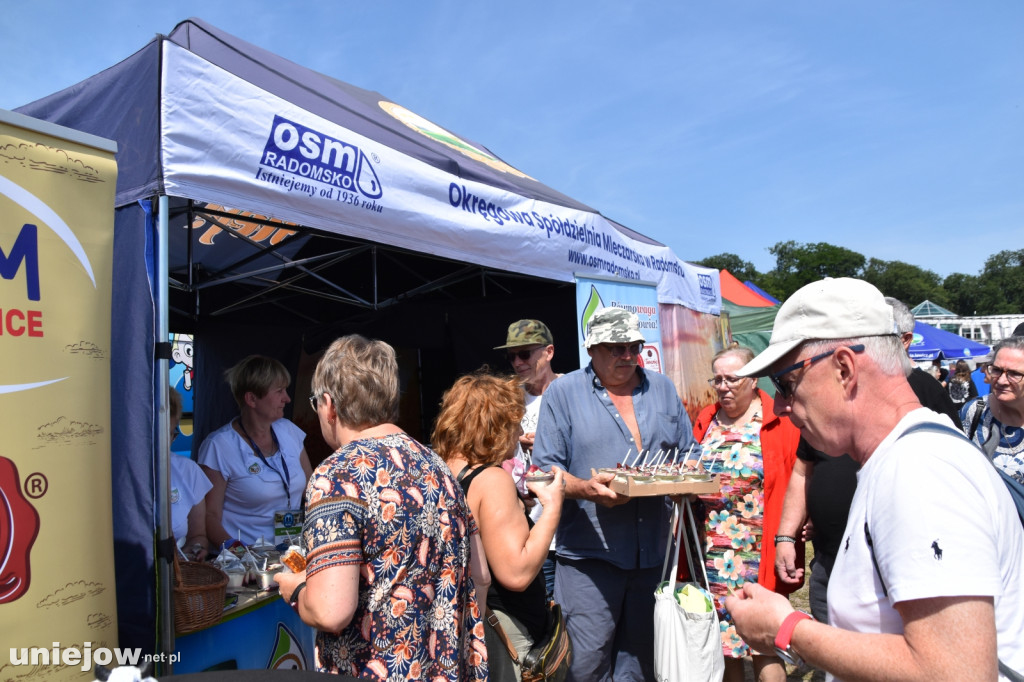 Co się dzieje na Łódzkim Festiwalu Mleka w Uniejowie?