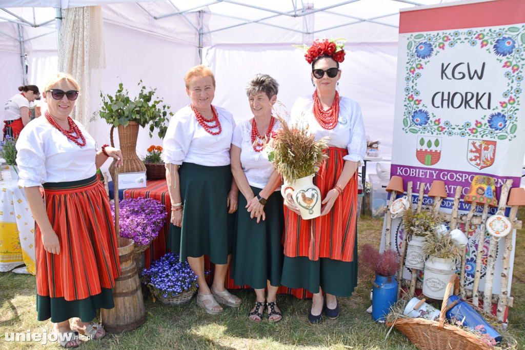 Co się dzieje na Łódzkim Festiwalu Mleka w Uniejowie?