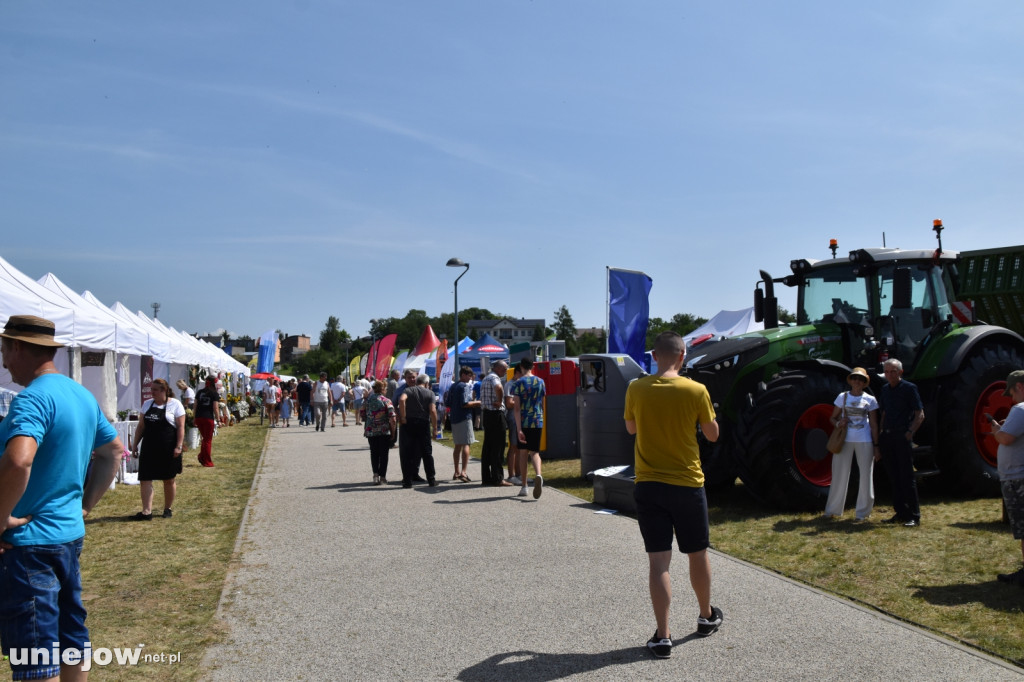 Co się dzieje na Łódzkim Festiwalu Mleka w Uniejowie?