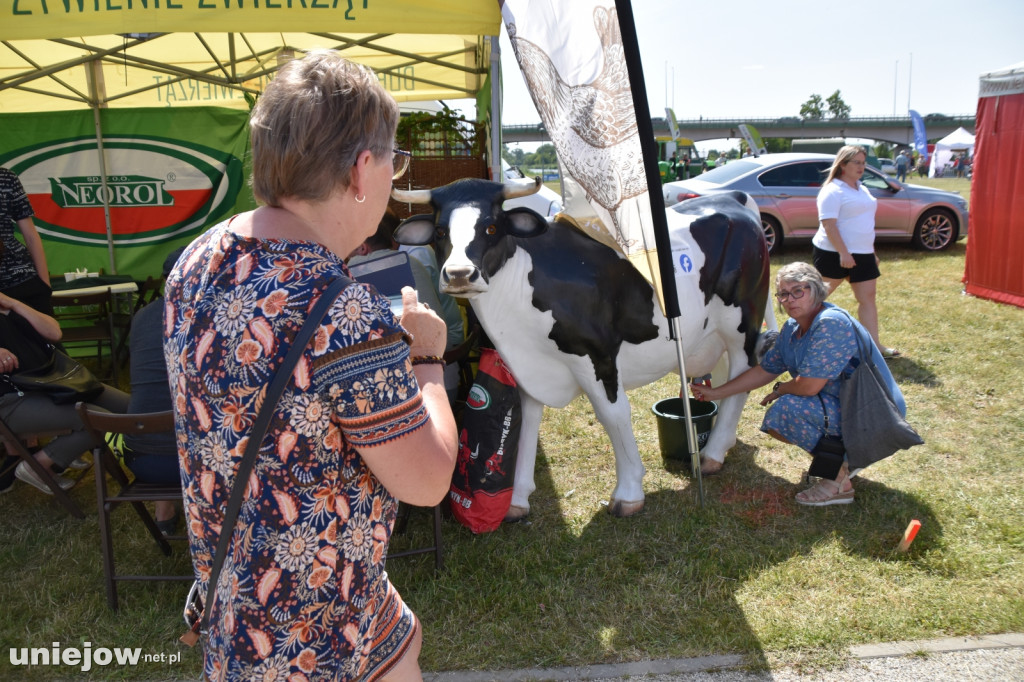 Co się dzieje na Łódzkim Festiwalu Mleka w Uniejowie?