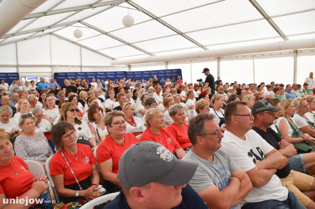 Co się dzieje na Łódzkim Festiwalu Mleka w Uniejowie?