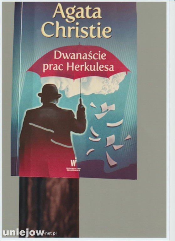 „Sleeveface, czyli ubierz się w książkę”.