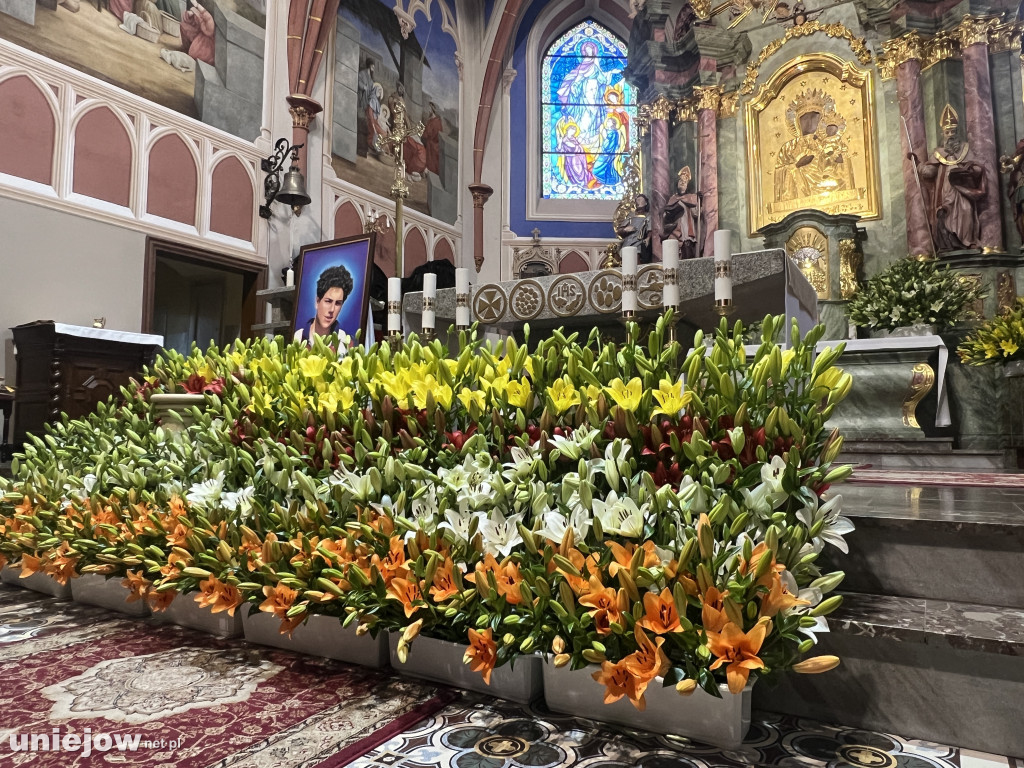 Królestwo Lilii w uniejowskiej bazylice