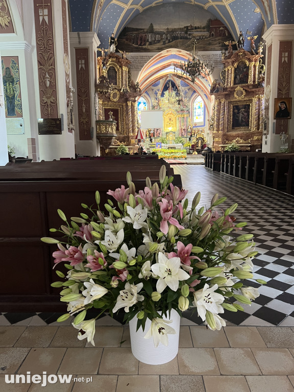 Królestwo Lilii w uniejowskiej bazylice