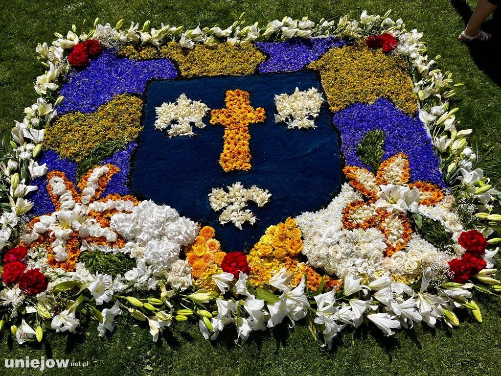 Królestwo Lilii w uniejowskiej bazylice