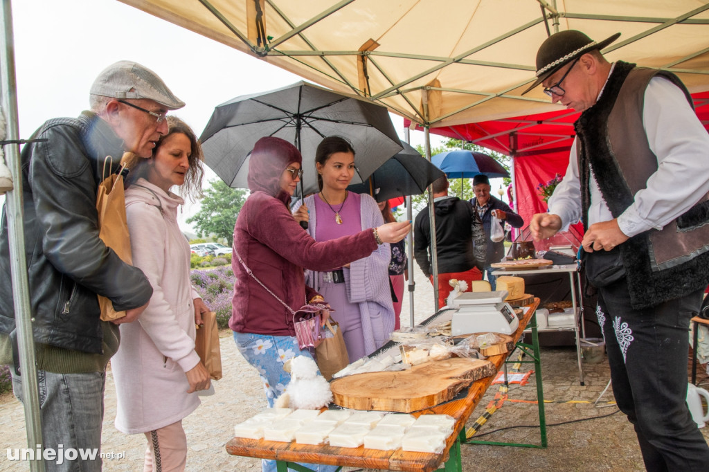 XII edycja Festiwalu Lawendy w Uniejowie