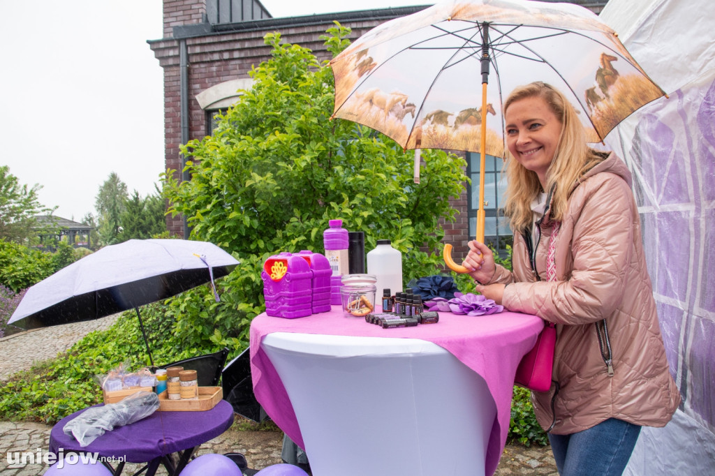XII edycja Festiwalu Lawendy w Uniejowie