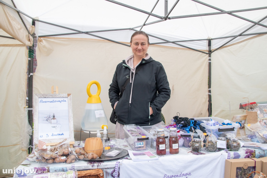 XII edycja Festiwalu Lawendy w Uniejowie