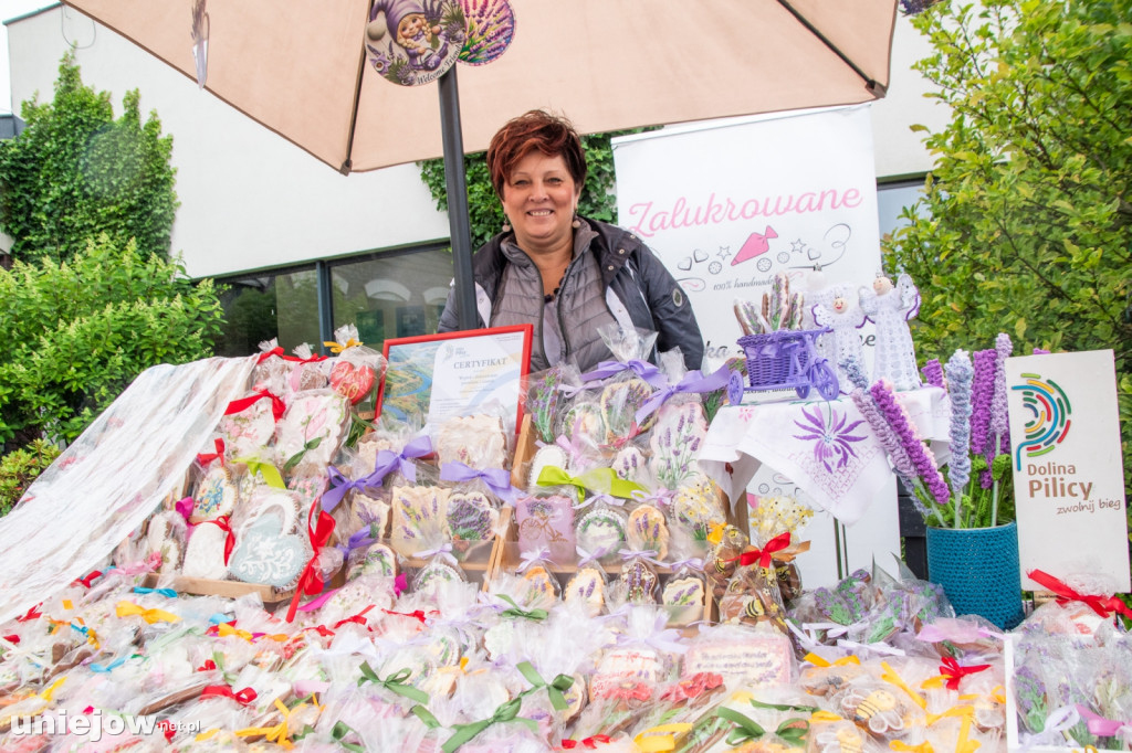 XII edycja Festiwalu Lawendy w Uniejowie