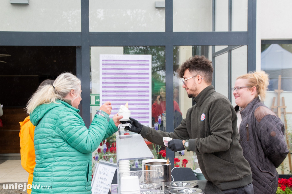 XII edycja Festiwalu Lawendy w Uniejowie