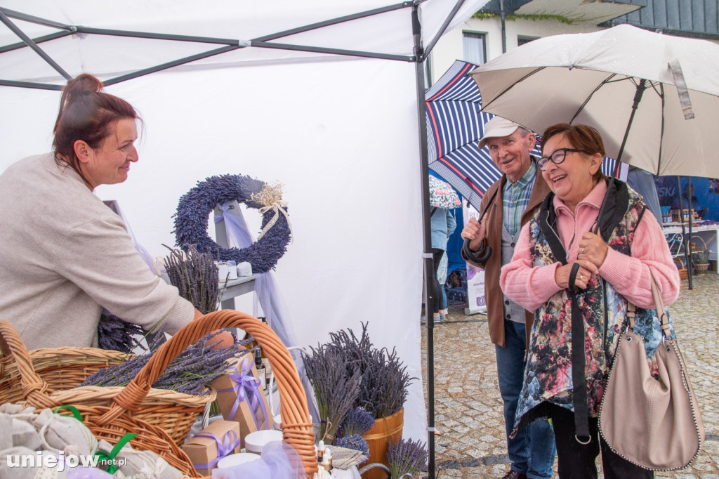 XII edycja Festiwalu Lawendy w Uniejowie