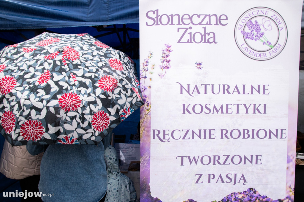 XII edycja Festiwalu Lawendy w Uniejowie
