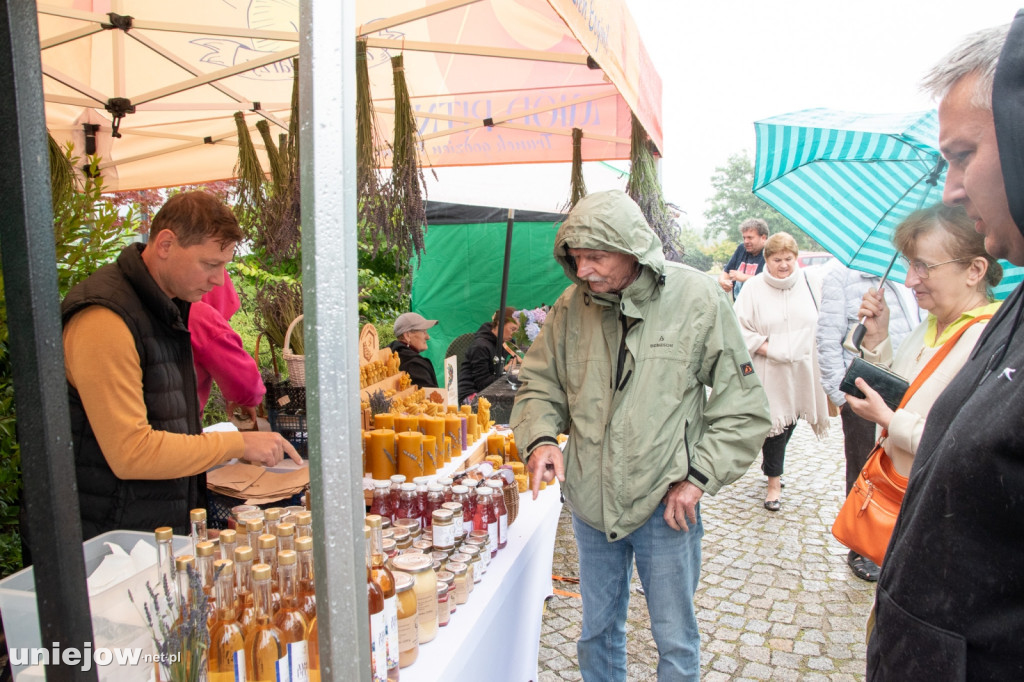 XII edycja Festiwalu Lawendy w Uniejowie