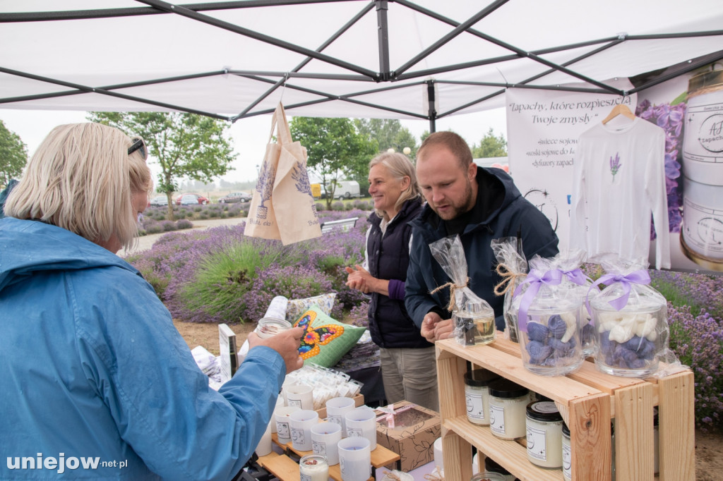 XII edycja Festiwalu Lawendy w Uniejowie