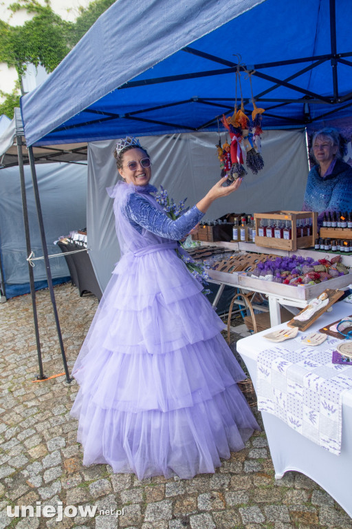 XII edycja Festiwalu Lawendy w Uniejowie