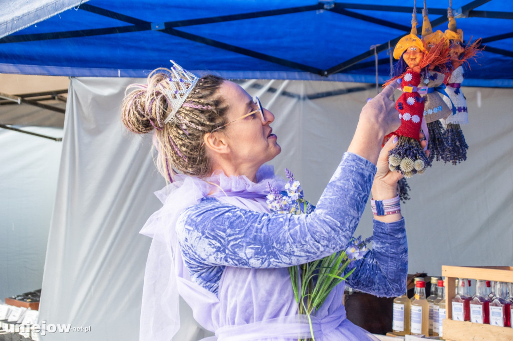XII edycja Festiwalu Lawendy w Uniejowie
