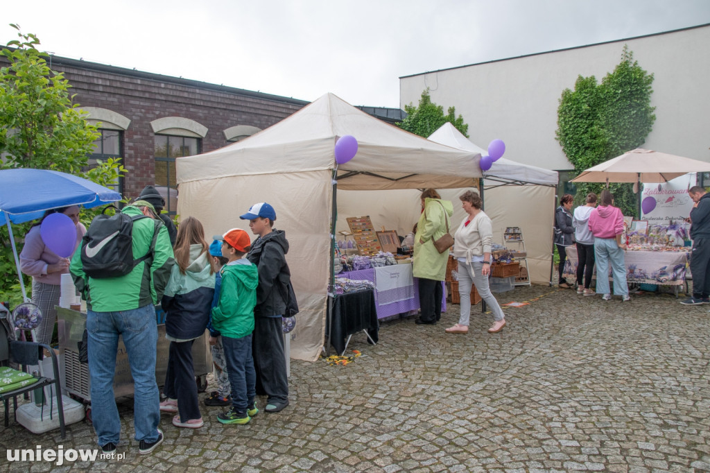 XII edycja Festiwalu Lawendy w Uniejowie