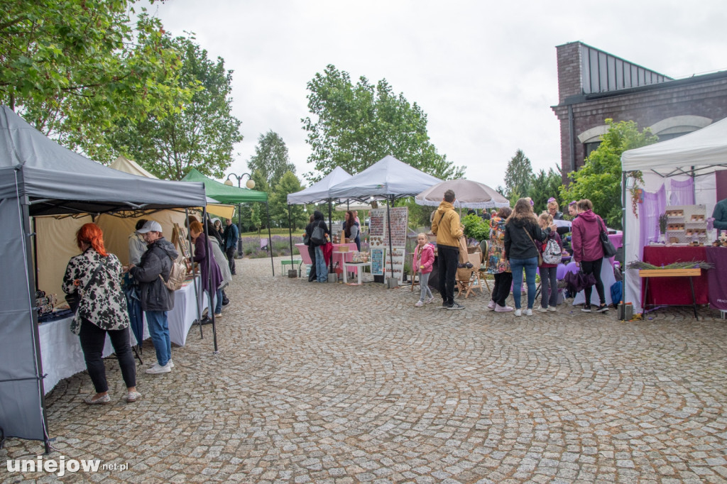 XII edycja Festiwalu Lawendy w Uniejowie