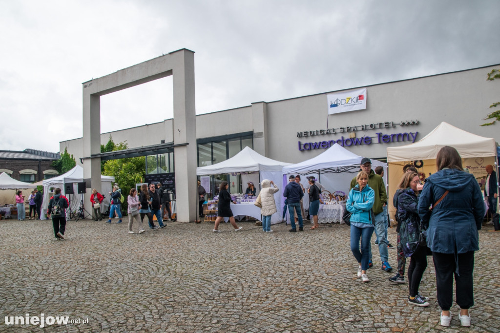 XII edycja Festiwalu Lawendy w Uniejowie