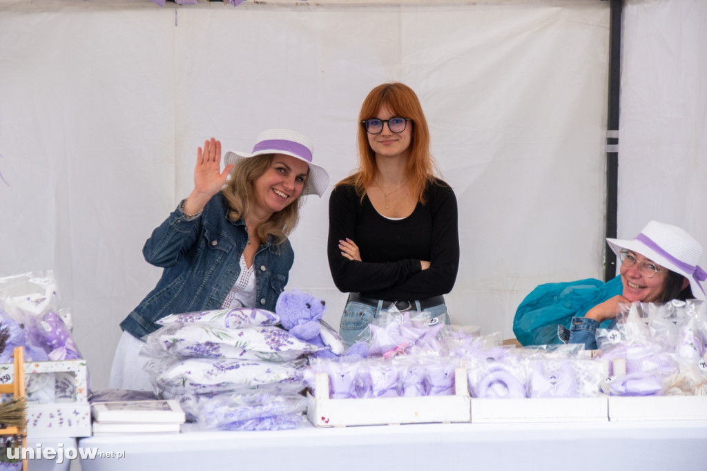 XII edycja Festiwalu Lawendy w Uniejowie